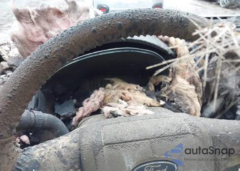 2012 Ford Escape Xlt z USA, uszkodzony, nr VIN 1FMCU9DG9CKB63876